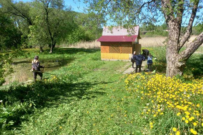 Какие инициативы по наведению порядка реализуются в аг. Мазолово