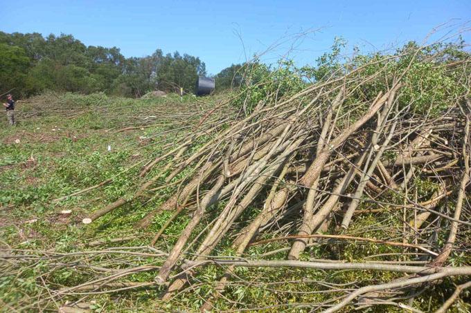 Какие инициативы по наведению порядка реализуются в аг. Мазолово