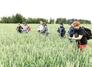 Школьники из Копачей осваивают азы труда в летнем лагере.