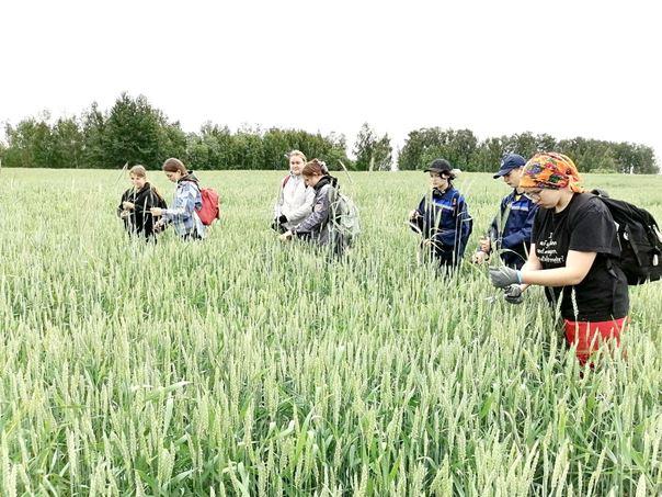 Школьники из Копачей осваивают азы труда в летнем лагере.