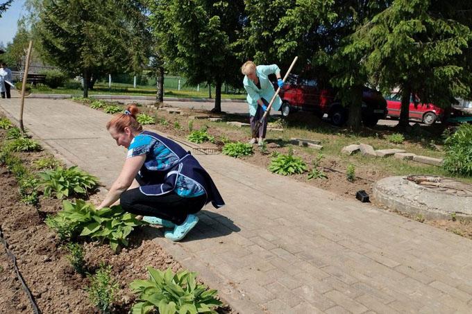 Посмотрите, как работники соцслужбы занимаются благоустройством в аг. Андраны