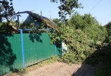 В Мстиславском районе сильный ветер валил деревья и срывал крыши.