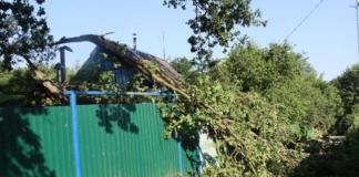 В Мстиславском районе сильный ветер валил деревья и срывал крыши.