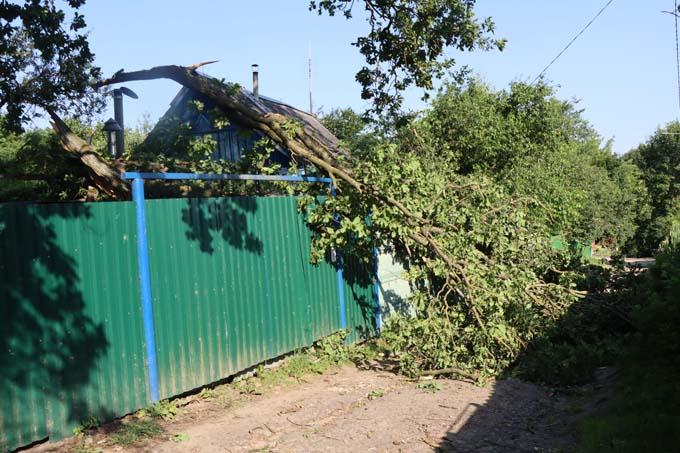 IMG_7165 В Мстиславском районе сильный ветер валил деревья и срывал крыши.