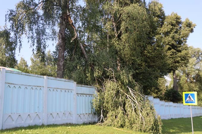 В Мстиславском районе сильный ветер валил деревья и срывал крыши