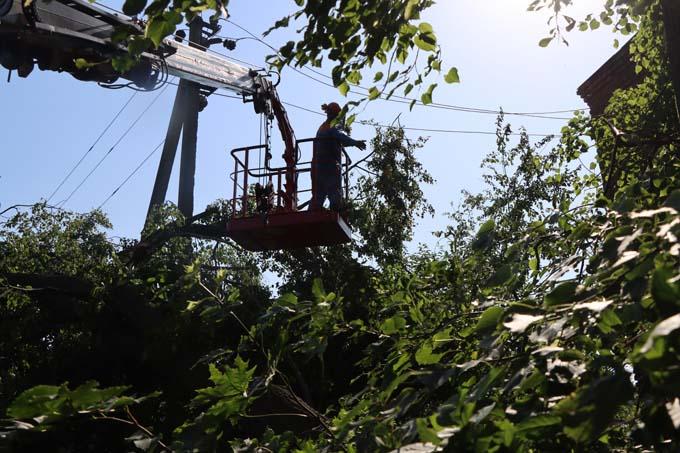 В Мстиславском районе сильный ветер валил деревья и срывал крыши