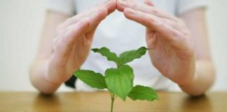 Эти пособия вырастут более чем на 8 процентов уже с 1 августа.