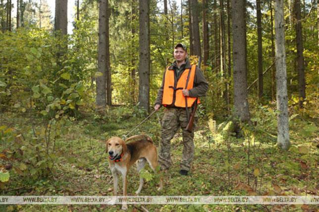 zagonnaja-ohota-768x429