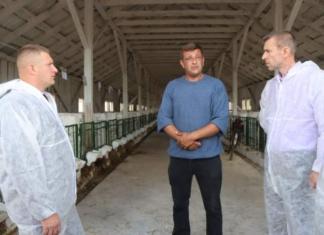 Животноводческая отрасль