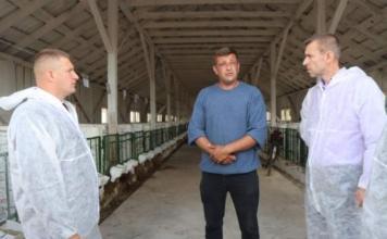 Животноводческая отрасль