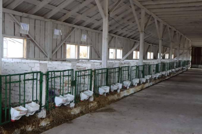 Животноводческая отрасль. О чем говорили на выездном совещании