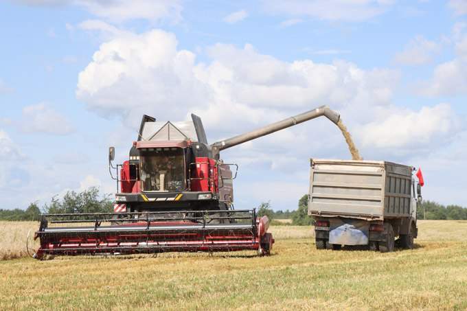 Комбайнеры весь световой день — за штурвалом.