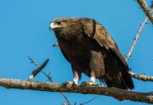 Какое важное открытие сделали Ганцевичском районе