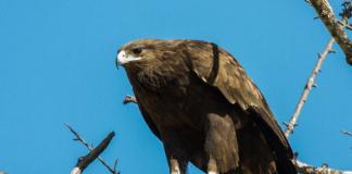 Какое важное открытие сделали Ганцевичском районе