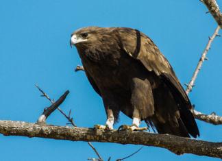 Какое важное открытие сделали Ганцевичском районе