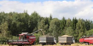 На уборке зерновых — комбайны «Агромашсервиса» и спасатели