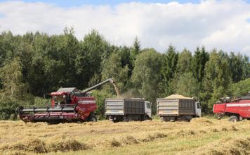 На уборке зерновых — комбайны «Агромашсервиса» и спасатели