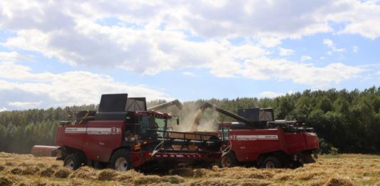 Новости Мстиславля