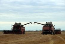 Аграрии района прибавляют гектары и тонны на жатве