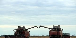 Аграрии района прибавляют гектары и тонны на жатве