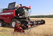 Аграрии района намолотили 56,5 тысяч тонн зерна