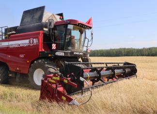 Аграрии района намолотили 56,5 тысяч тонн зерна