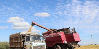 Аграрии района намолотили более 21 тысячи тонн зерна