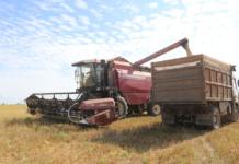 Жатва-2025. Узнали, у кого самый весомый каравай