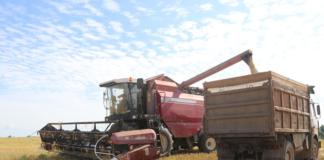 Жатва-2025. Узнали, у кого самый весомый каравай