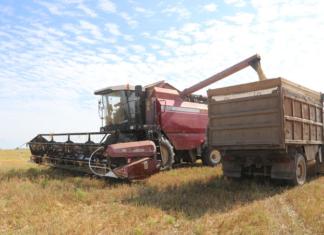 Жатва-2025. Узнали, у кого самый весомый каравай