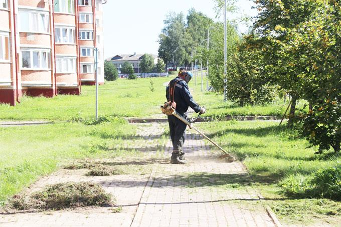 Санитарный день. Какие работы проводятся