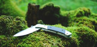 Какие ножи можно носить грибникам и охотникам