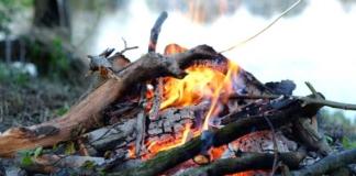 Штрафы за костёр: как избежать проблем на даче.