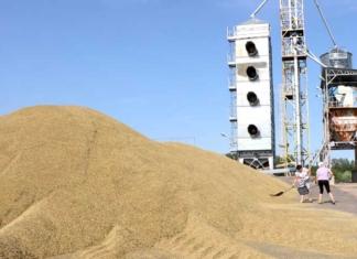 Афера с зерном: руководитель участка отстранен от должности.