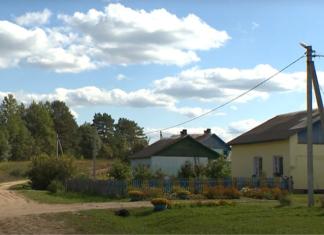 В д. Лютня соберутся односельчане. Узнали когда и зачем