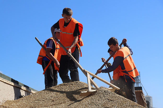 Минтруда подвело итоги летней занятости молодёжи