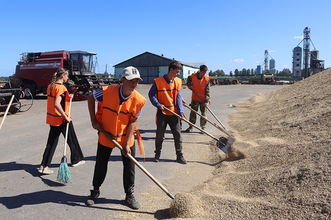 Как молодёжь помогла в период жатвы