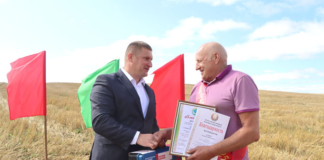 Четыре тысячи тонн перевезённого зерна. Кто стал героем жатвы в районе