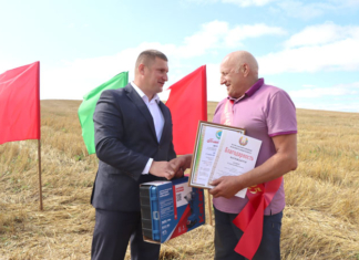 Четыре тысячи тонн перевезённого зерна. Кто стал героем жатвы в районе