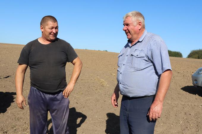 В приоритете работ аграриев — сев озимых зерновых