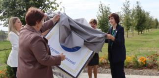 Посмотрите, какой арт-объект появился возле гимназии