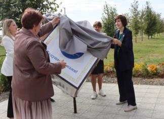 Посмотрите, какой арт-объект появился возле гимназии