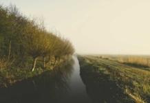 ЧП в Мстиславском районе: в канаве обнаружено тело мужчины.