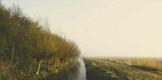 ЧП в Мстиславском районе: в канаве обнаружено тело мужчины.