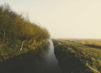 ЧП в Мстиславском районе: в канаве обнаружено тело мужчины.