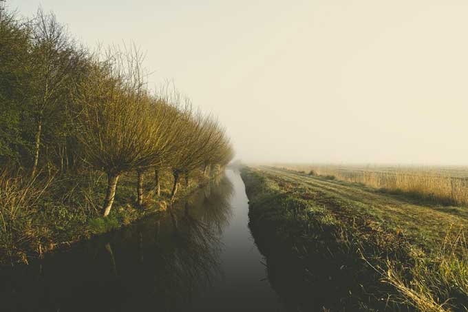 ЧП в Мстиславском районе: в канаве обнаружено тело мужчины.