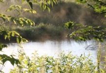 Гибель мужчины в водоёме: подробности происшествия в Мстиславском районе.