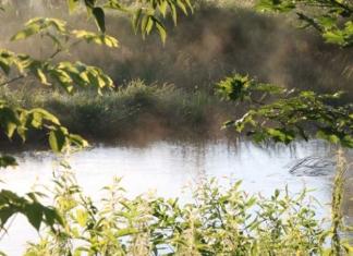 Гибель мужчины в водоёме: подробности происшествия в Мстиславском районе.