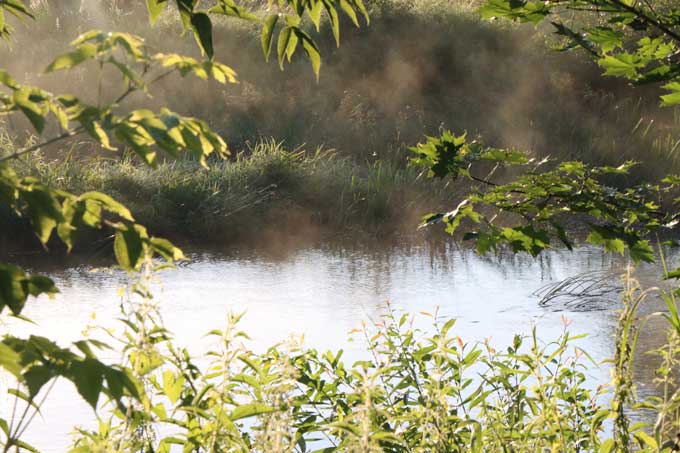 озеро Гибель мужчины в водоёме: подробности происшествия в Мстиславском районе.