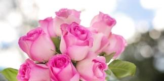 Поздравление с Днём знаний от депутата Палаты представителей